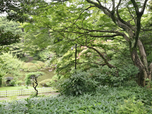 Japanilainen puutarha