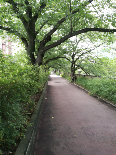 Meguron viherkäytävä