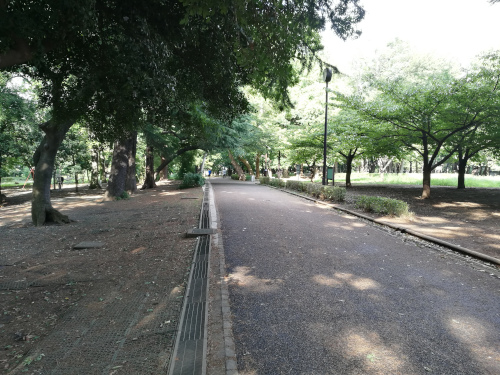 Rinshi no Mori -puiston jalkakäytävä