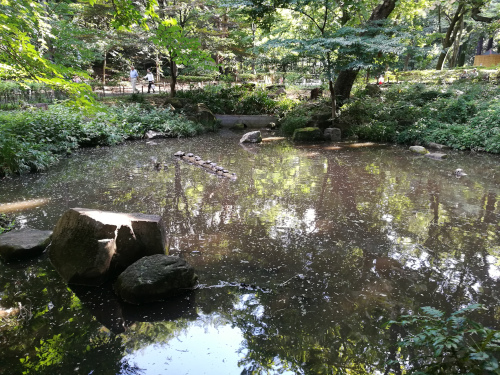 Kilpikonnia Rinshi no Mori -puiston lammella