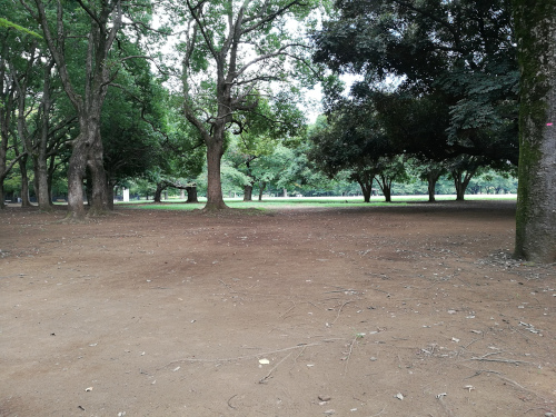 Yoyogi-puiston varjoisempaa aluetta