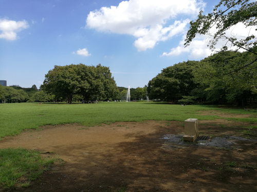 Yoyogi-puiston avonaisempaa aluetta