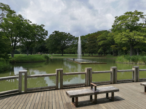 Yoyogi-puiston suihkulähdelampi