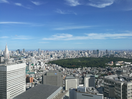 Näköala Tokion metropolihallintorakennuksen näköalatasanteelta Meiji-temppelin ja Yoyogi-puiston (iso vihreä alue keskellä kuvaa) suuntaan