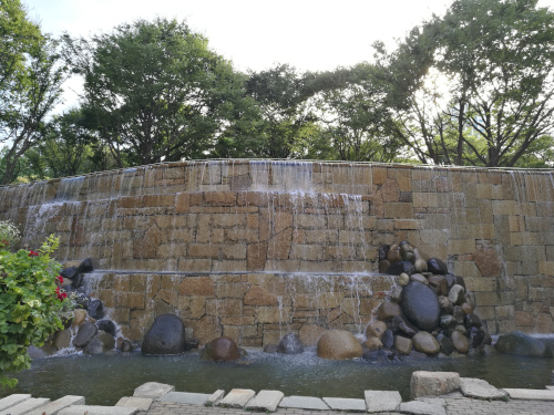 Shinjukun keskuspuistoa