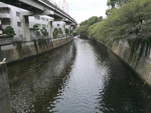 Kanda-joki alavirrammasta