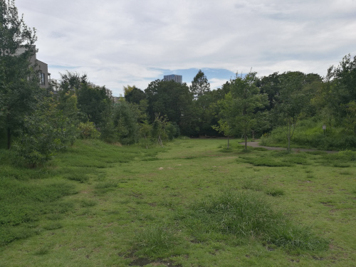 Otomeyama "yaman" päältä katsottuna