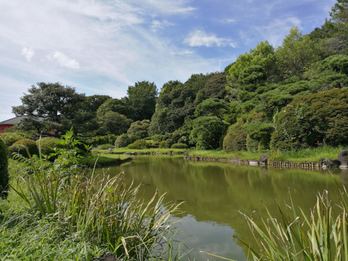 Koishikawan kasvitieteellinen puutarha