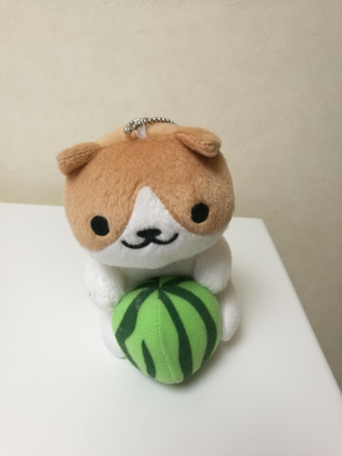 Tämä pieni pehmolelu edustaa Minyamia hänen pyynnöstään