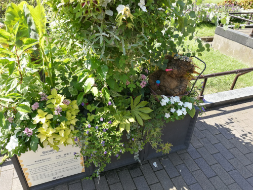 Istutussuunnittelunäyttely Hibiya-puistossa