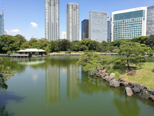 Hamarikyūn puutarha teehuoneineen
